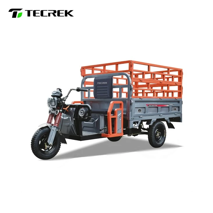 Large Scale Freight Electric Tricycle